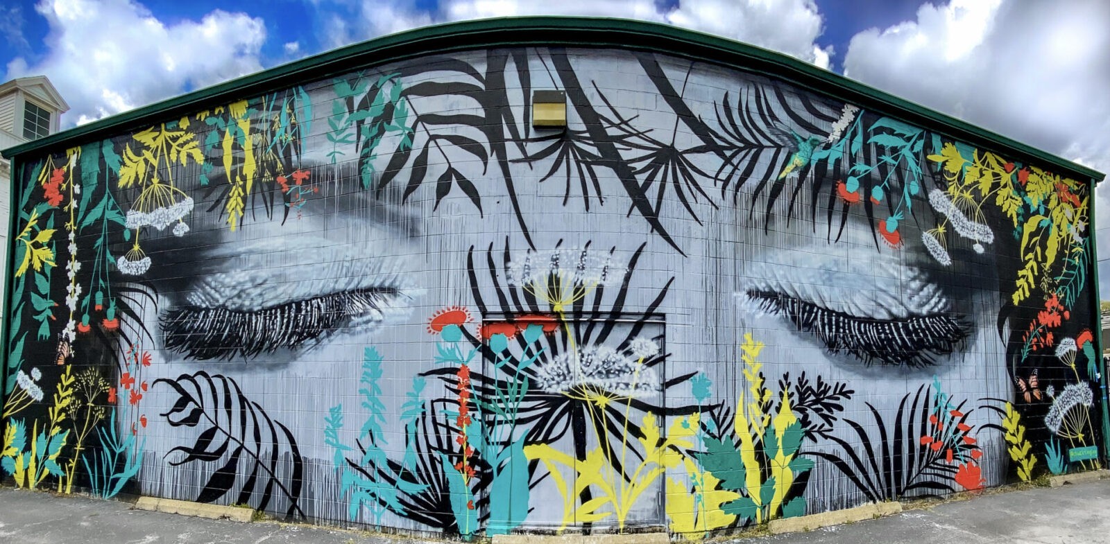 Chuck Tingley’s Flutterby Mural Mural in Buffalo New York
