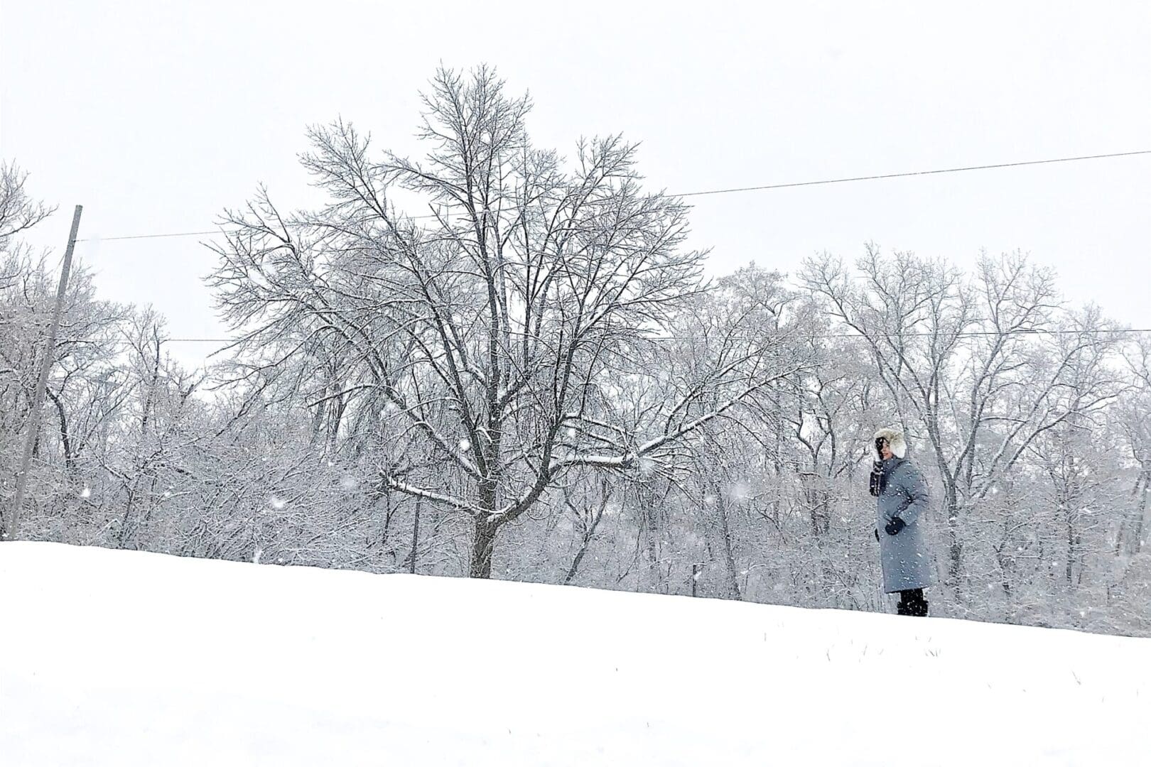 Serene wintry scene looking up a hill while the ground and bare trees are covered in thick white, pristine snow, as large snowflakes are falling to the ground. Contemplating our one word resolutions for the new year